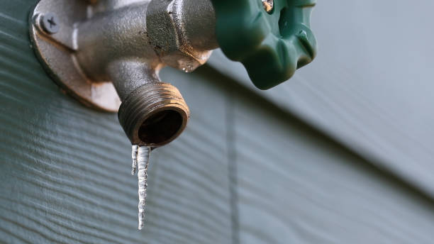 Best Water Leak Repair  in East Douglas, MA